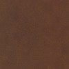 F428_ST10
